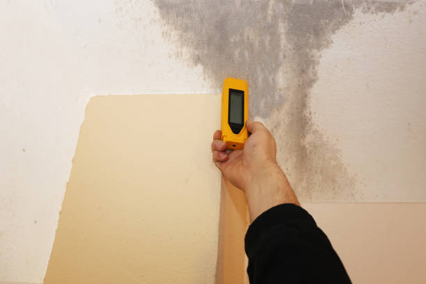 Best Residential Mold Inspection & Testing  in Oskaloosa, IA