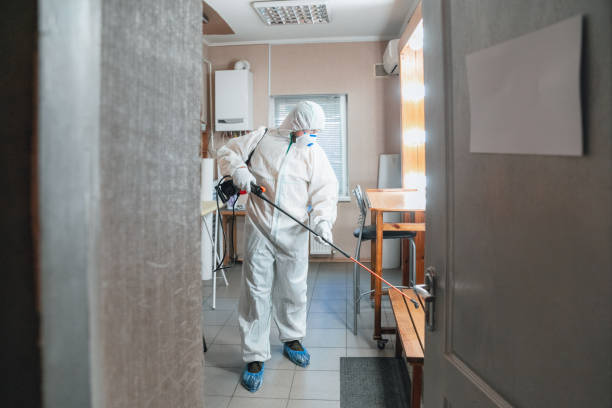 Best Post-Remediation Verification Testing  in Oskaloosa, IA