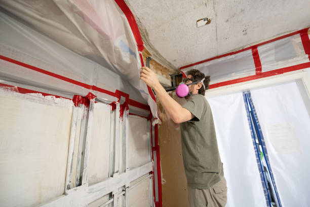 Best Mold Odor Removal Services  in Oskaloosa, IA