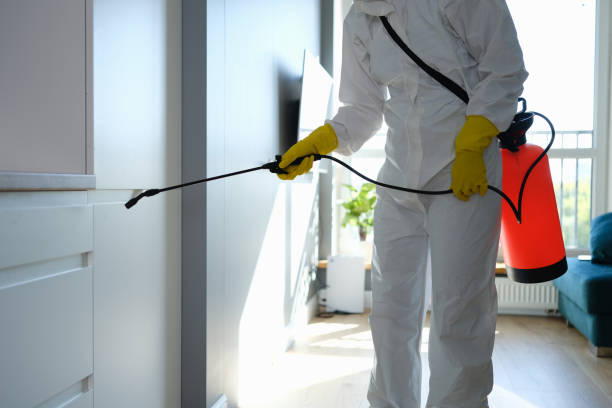 Trusted Oskaloosa, IA Mold Removal Experts