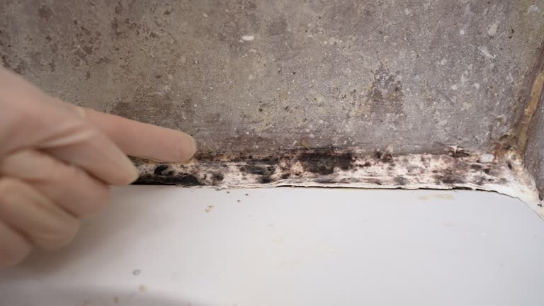 Best Post-Construction Mold Inspection  in Oskaloosa, IA